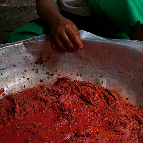 ACHIOTE 12_mosaico galeria_MG_8310.jpg